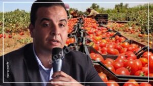 بايتاس يدخل على خط ارتفاع أسعار الطماطم في المغرب، وهذا ما قاله بخصوص الموضوع 1 بيتاس