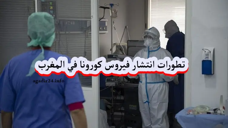 حصيلة