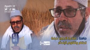 ماسة