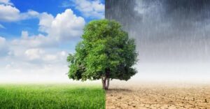 درجات الحرارة الدنيا والعليا المرتقبة يوم غد الجمعة 4 درجات الحرارة الدنيا والعليا 1
