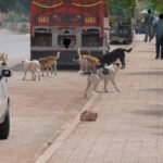 أكادير.. ” ليالي رمضان” لوحات رمضانية خاصّة بأنامل فنانين تشكيليين مبدعين