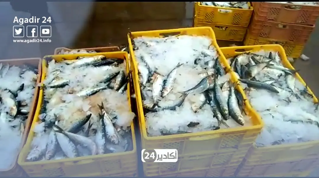 مجهزو