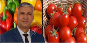 الوزير صديقي يخرج عن صمته ويوضح أسباب ارتفاع أسعار الطماطم والفلفل في السوق الوطنية 1 محمد صديقي