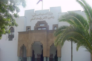 وزارة التعليم العالي تحسم الجدل بشأن الإجازة المهنية 11 وزارة التعليم العالي ا
