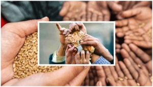 أزمات الغذاء