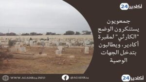 مقبرة2405