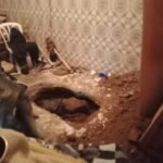 بعد أمريكا : حموشي يحط الرحال بالعاصمة الإسبانية مدريد.