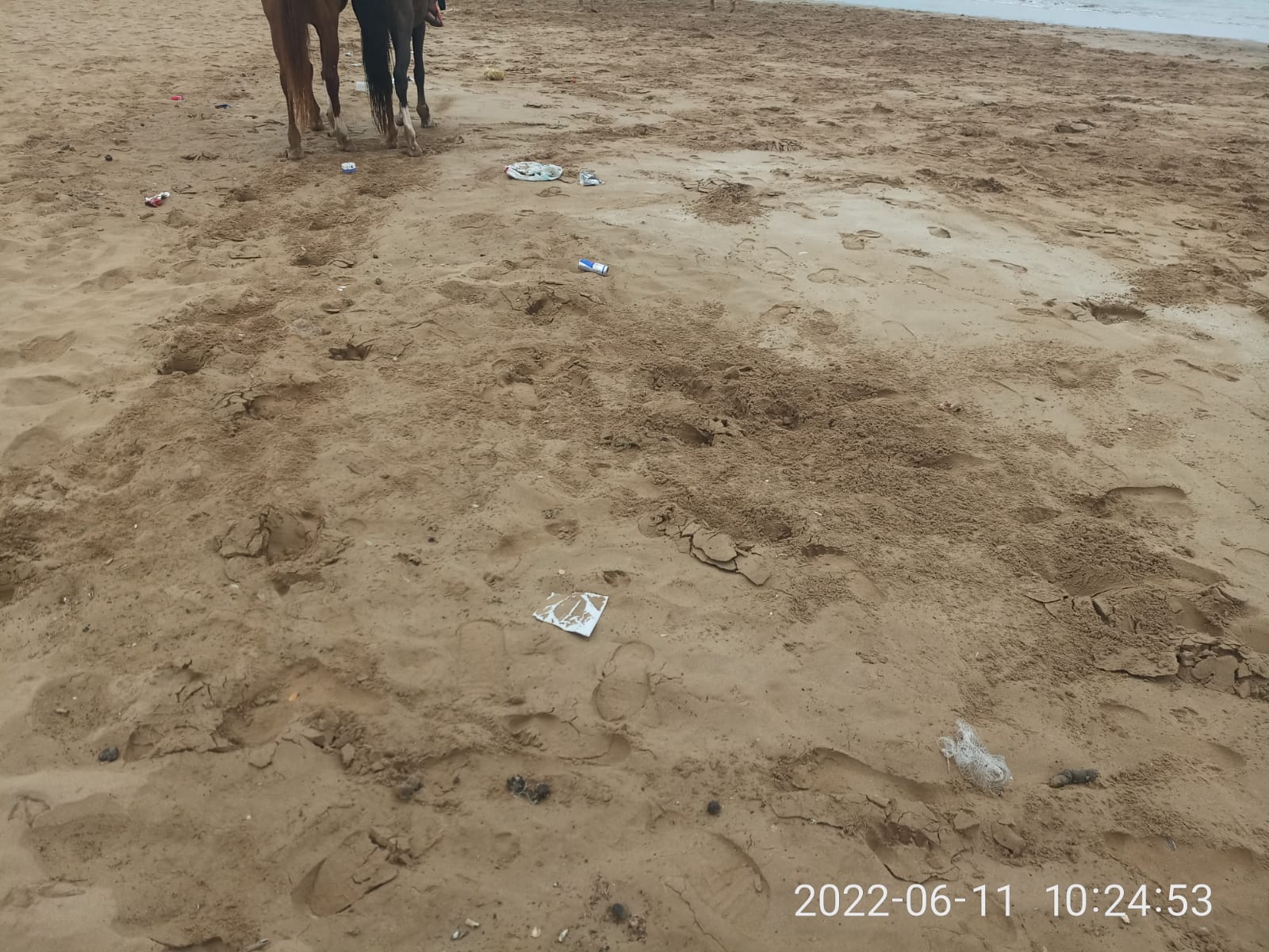 IMG 20220611 WA0012