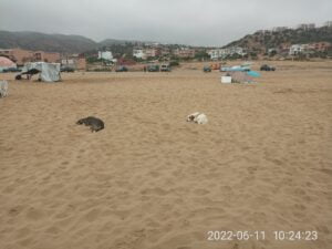 IMG 20220611 WA0014