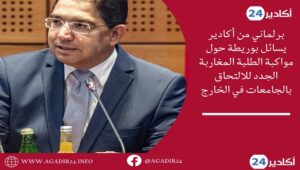 برويطة0406