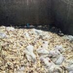 زلزال يضرب مدينة مزار الشريف في أفغانستان