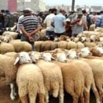 درجات الحرارة الدنيا والعليا المرتقبة غدا الإثنين 4 يوليوز 2022