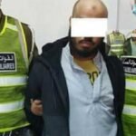 جواباً للثنائيّ بلومي ومادجر :الأسود لا تنتبه إلى الحشرات
