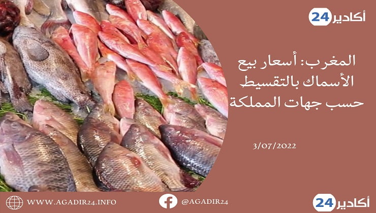 أسعار السمك0307