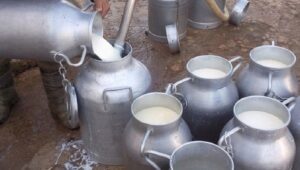 تحذيرات من الألبان