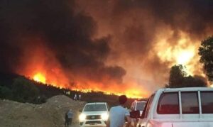 سقوط ضحايا جدد جراء حرائق الغابات 8 حرائق الغابات