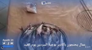 عمال بأكادير : "نتوما الصردي، و حنا السردين" 6 سردين