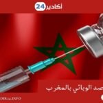 إحباط محاولة تهريب كمية مهمة من الهواتف والأجهزة الإلكترونية المسروقة إلى المغرب.