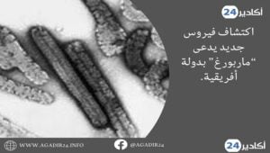 فيروس1807
