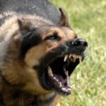 قرار مفاجئ ل: “بايدن”… هل ستضع الحرب الروسية الأوكرانية أوزارها؟