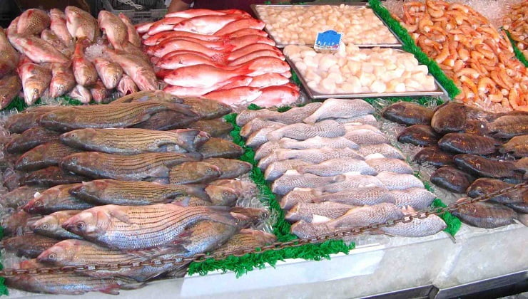أسعار البيع بالتقسيط للأسماك1