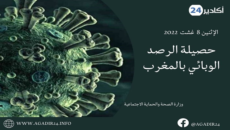 الحصيلة0808