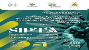 أكادير 31