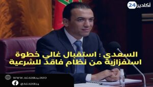 السعدي : استقبال غالي خطوة استفزازية من نظام فاقد للشرعية 10 السعيدي2708
