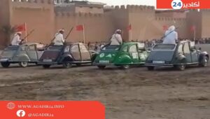 تبوريدا0408