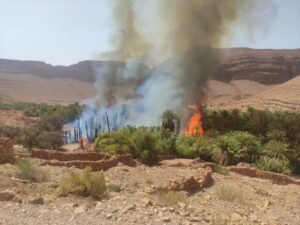 حريق مفاجئ وسط واحة 1