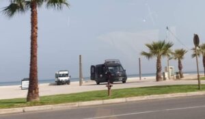 سلطات