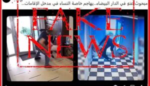 فيديو