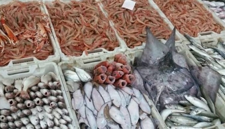 الاسماك