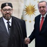 أكادير 24 تنشر فيديو إنقاذ قطة سائحة من سقوط مميت بأكادير.