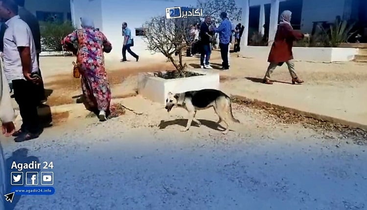 شاهدوا مهزلة مدرسة المحيط بأكادير التي تحتضن تكوين الأساتذة.