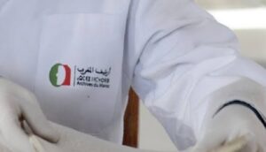 وثيقة