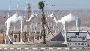 مطار طانطان يحقق معدل استرجاع يناهز 87 في المائة خلال ال 10 أشهر الأولى من السنة الجارية 7 طانطان