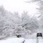 موظفو تويتر ينقبلون على ماسك ويفاجؤونه بهذه الخطوة غير المتوقعة