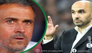 "إنريكي" مدرب كبير وإقالته بهذه السرعة قرار عنصري 12 إنريكي الركراكي