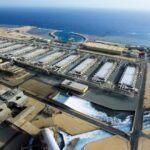 نيويورك تايمز: مونديال قطر 2022 مغربي، حتى لو فازت به الأرجنتين أو فرنسا .