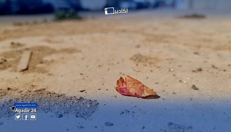 رياح قوية 2