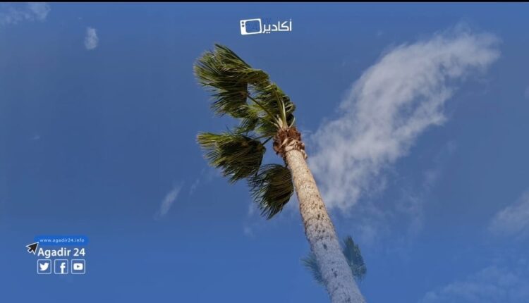 رياح قوية 5