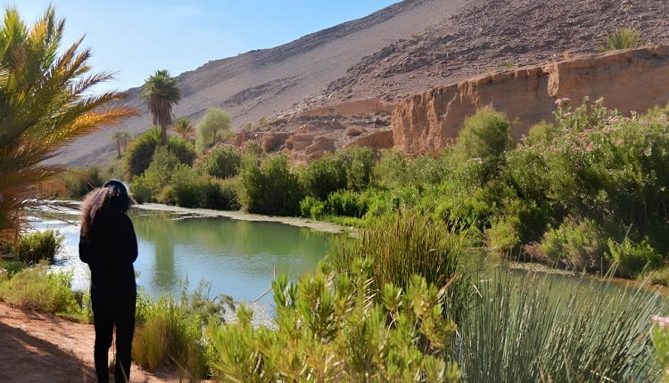 ترويج (الماحيا) والقنب الهندي يؤجج غضب ساكنة واحة تغجيجت.