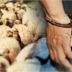 تأخر نظارة الأوقاف في إبداء الرأي حول أراضي يثير استنكارا في اشتوكة آيت باها ..