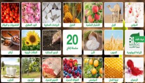 المخطط الأخضر