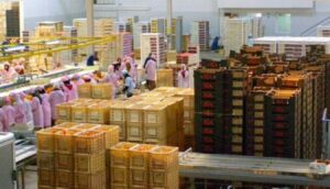 تصدير الخضر والفواكه