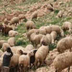 أكادير : أشنكلي يعلن عن  مشاريع اتفاقيات شراكة جديدة بجهة سوس ماسة بما يناهز 856 مليون