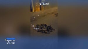 أكادير : إصلاح أعطاب تسريبات المياه، يحول أزقة إلى مطارح و حفر تشكل خطرا على المارة. (+فيديو ) 3 agar
