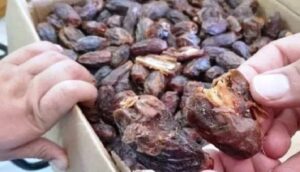 التمور