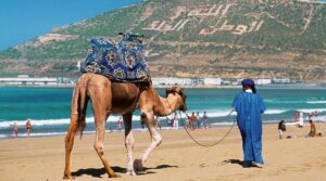 وزارة السياحة تكشف عن خطتها لاستقطاب 26 مليون سائح بالمغرب. 5 السياحة المغرب
